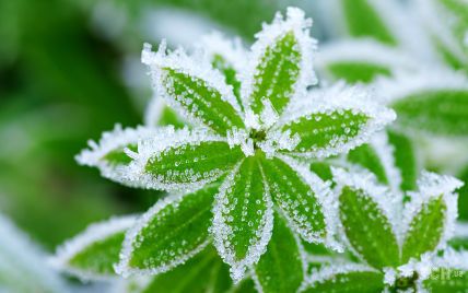 Когда ждать похолодания: синоптикиня рассказала о погоде на следующей неделе, 28 ноября - 4 декабря
