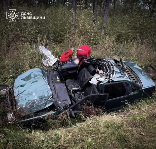 ДТП с буйволом во Львовской области/Фото: ДСНС Львовщины