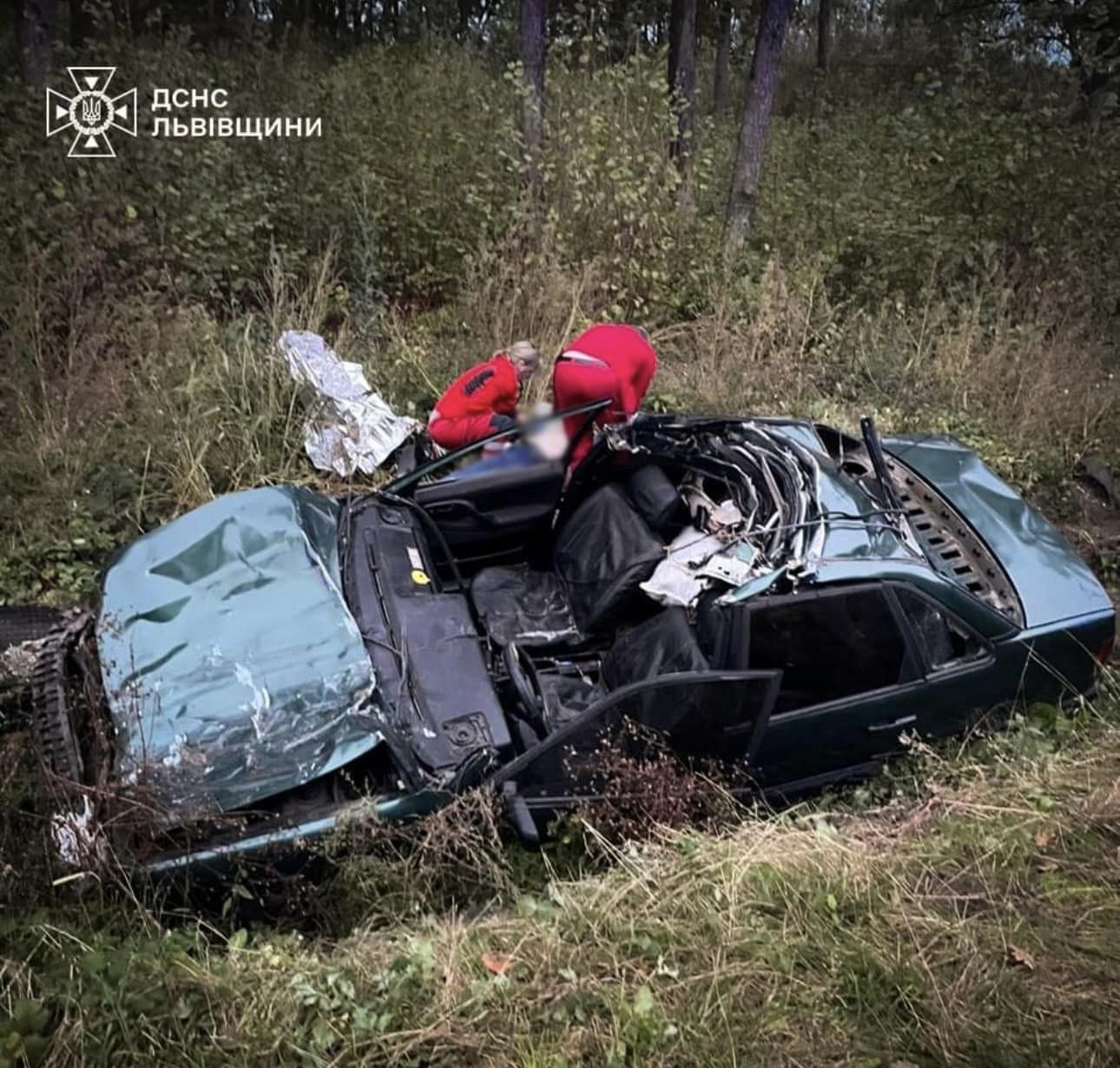 ДТП з буйволом на Львівщині – медики врятували студента, фото — Львів