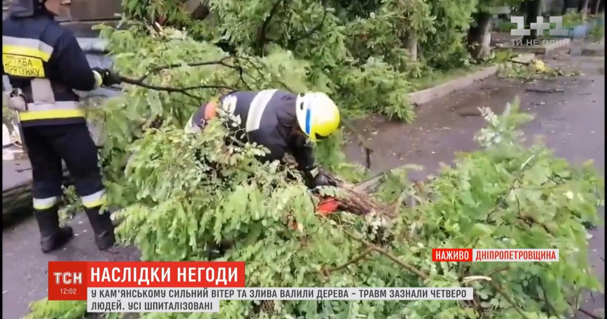 Ураган повалил деревья и травмировал людей в Днепропетровской области