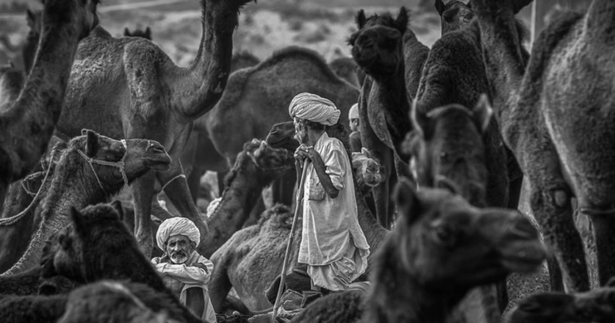 Лучшее фото года по версии Ukrainian Photo Awards 2015 / © Ukrainian Photo Awards