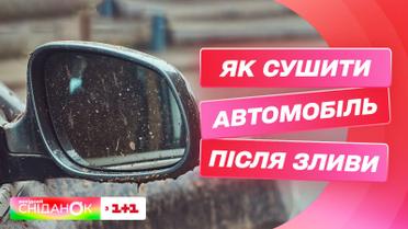 Как сушить авто после сильных ливней, чтобы потом не пришлось платить за дорогой ремонт в СТО