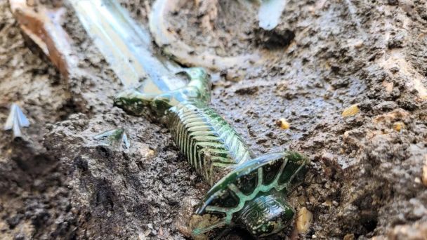 Меч віком 3000 років / Фото: Bronzezeitliches Schwert aus Nördlingen; Archäologie-Büro Dr. Woidich