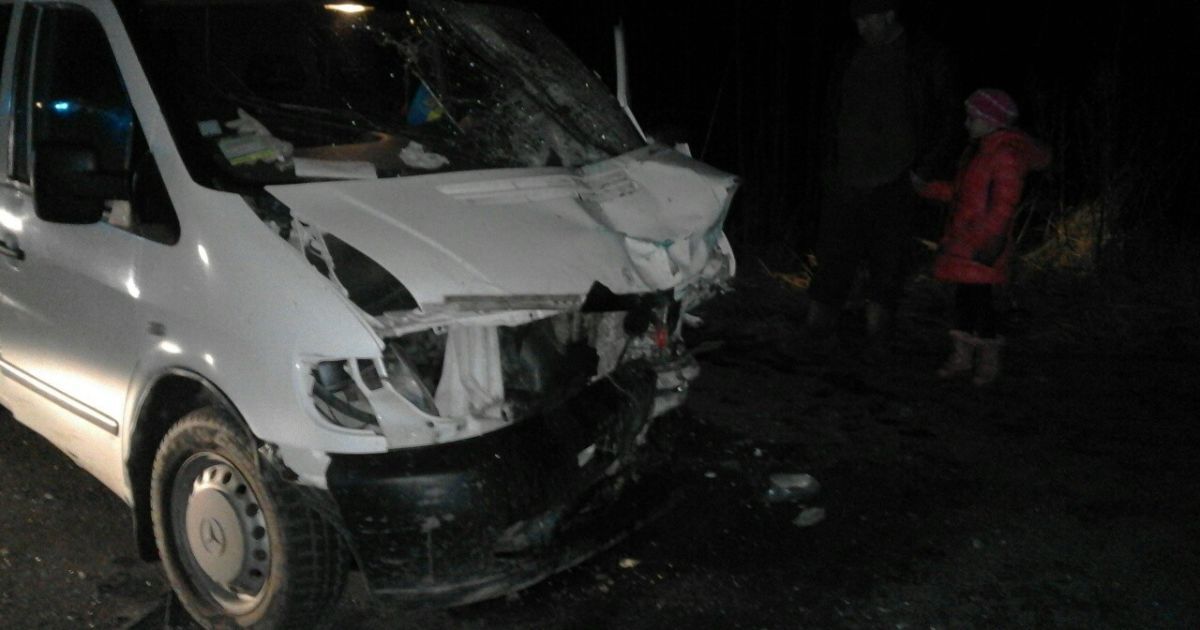 Внаслідок ДТП з мікроавтобусом на Житомирщині загинули четверо