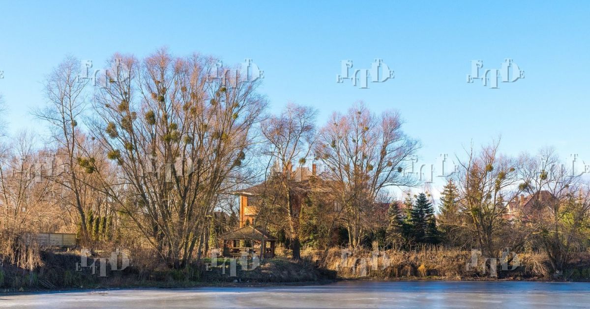 У дворі є вихід до власного озера / Фото: flatfy.ua