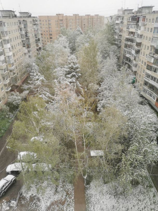 Снегопад в Москве и области 7 мая/Фото: российские телеграм-каналы