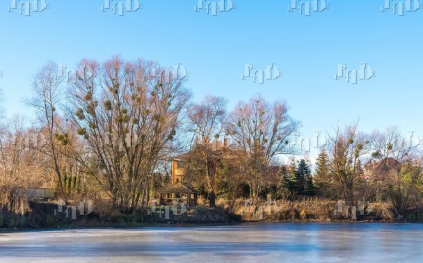 У дворі є вихід до власного озера / Фото: flatfy.ua