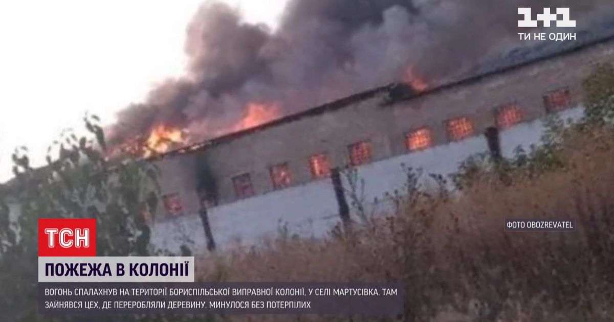 У виправній колонії під києвом зайнявся цех, де переробляли деревину