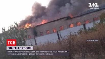 У виправній колонії під Києвом зайнявся цех, де переробляли деревину