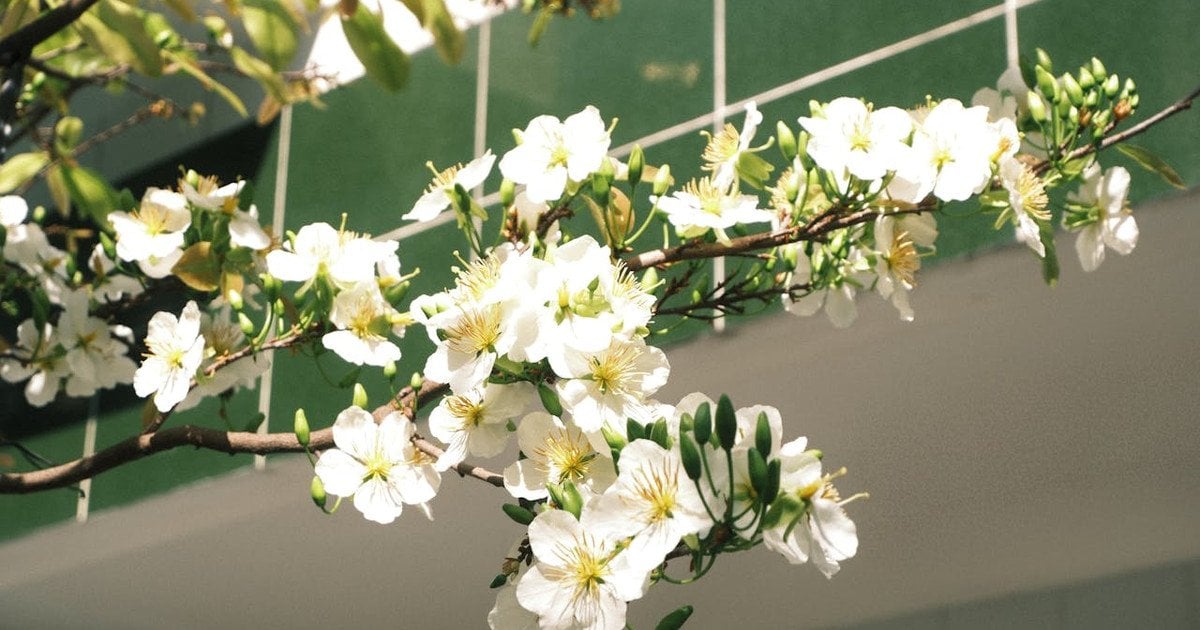 Погода в Украине