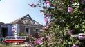 Люди не здаються: в городах птахів відлякують опудала і хвостовики великих калібрів