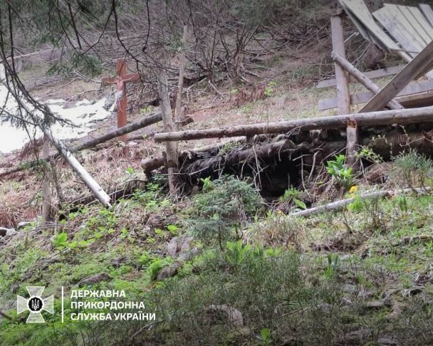 Сліді ведмедів біля українсько-румунського кордону / © Державна прикордонна служба України