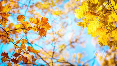 Гороскоп на 8 ноября