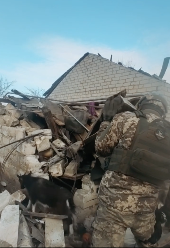 Патрульні врятували козеня з-під завалів – щемливе відео