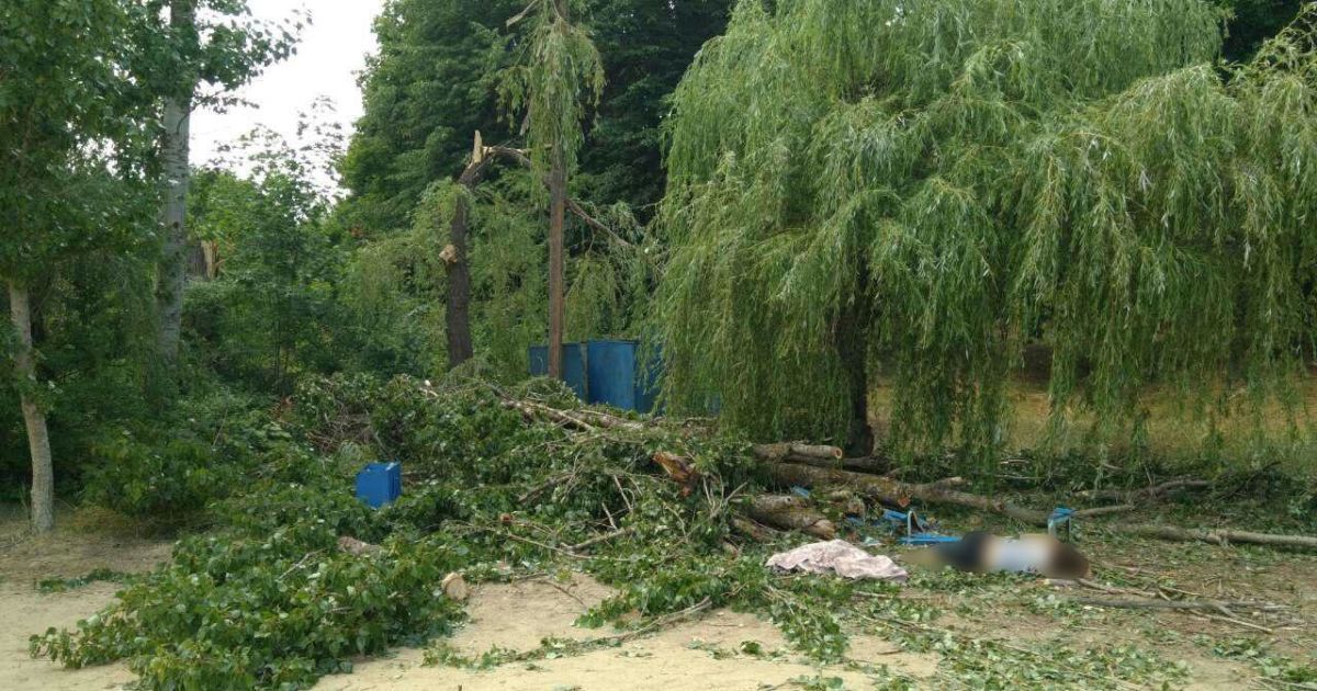 В Харькове возросло количество погибших в результате падения дерева на базе отдыха