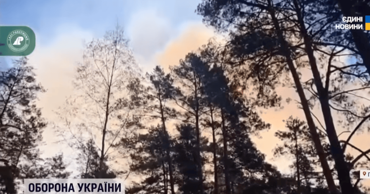 У Польщі горить ліс