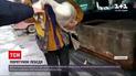 Жители Ровенской области спасли травмированного лебедя