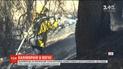 Возросло количество жертв лесных пожаров в Калифорнии