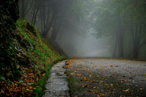 Народні прикмети 1 жовтня / © Pixabay