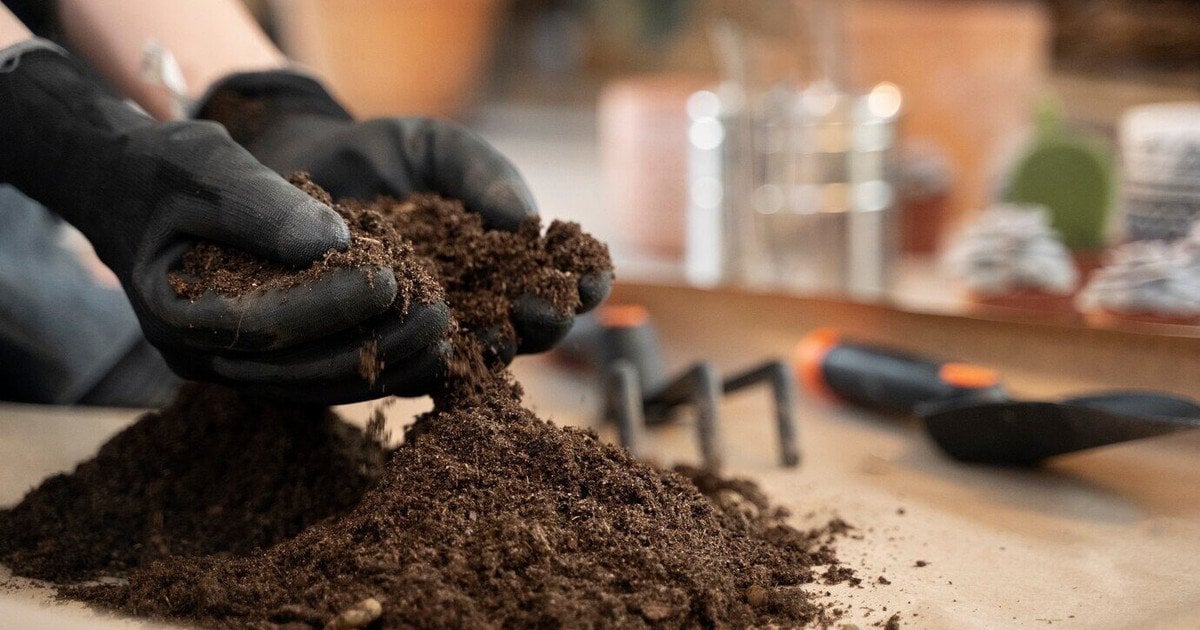 Почва для рассады