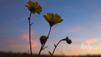 Гороскоп на 23-29 марта 2026 года