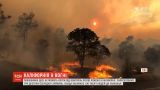 У Каліфорнії лісові пожежі набувають катастрофічних масштабів