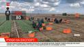 Руки на экспорт: несмотря на закрытые границы, украинских заробитчан зовут на работу в Европу