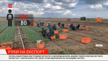 Руки на экспорт: несмотря на закрытые границы, украинских заробитчан зовут на работу в Европу