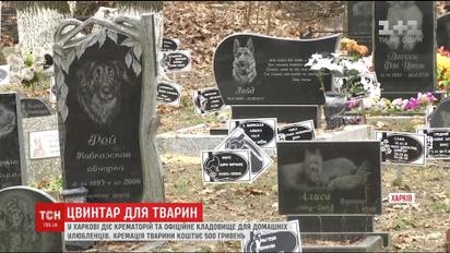 В Киеве более 16 лет не могут достроить кладбище домашних животных