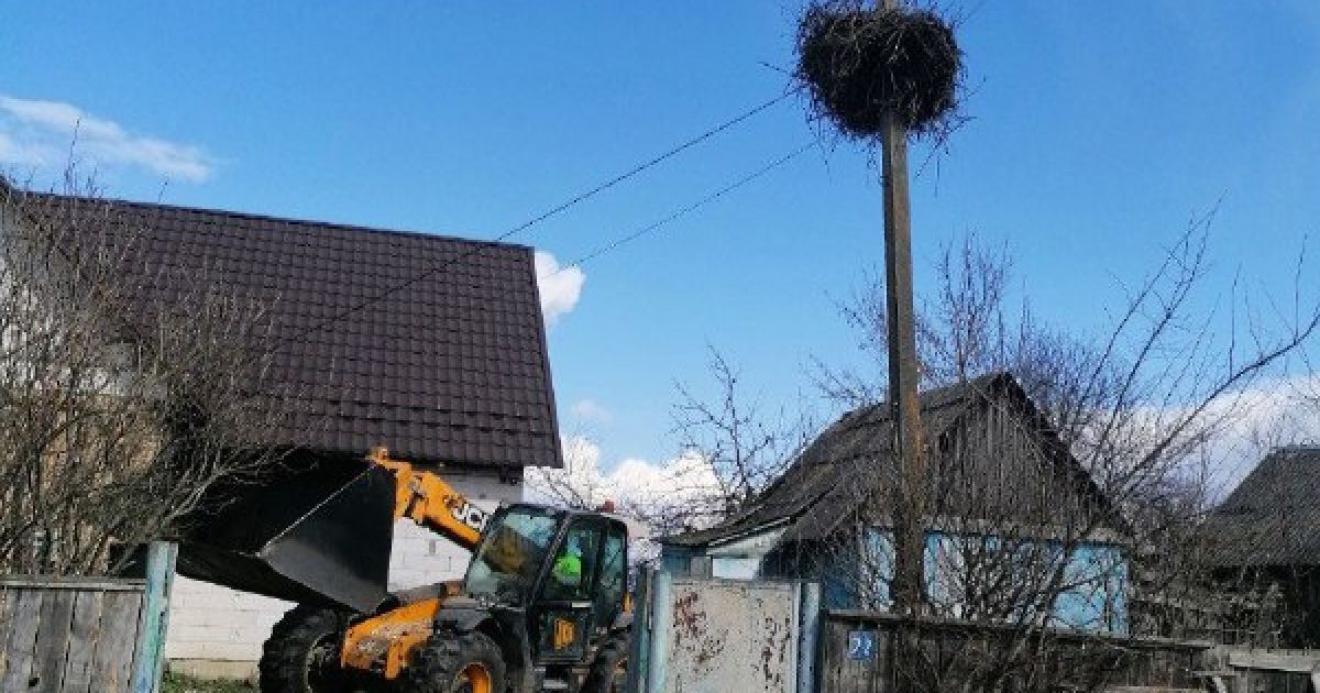 У Київській області місцеві жителі допомогли лелеці полагодити гніздо