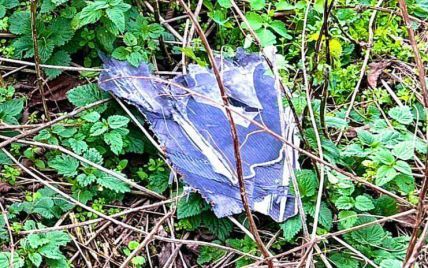 На Киевщине у пруда обнаружены обломки дрона-шахеда