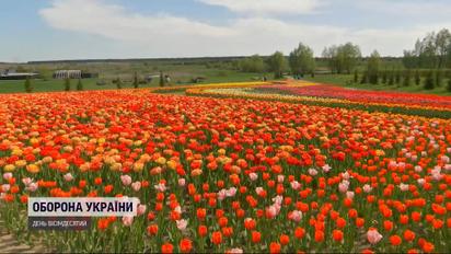 До зруйнованого парку на Київщині повертається життя