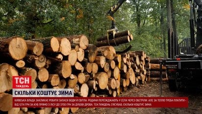 Ціни в лісі проти перекупів: як правильно купувати дрова і скільки насправді коштує тепло цієї зими