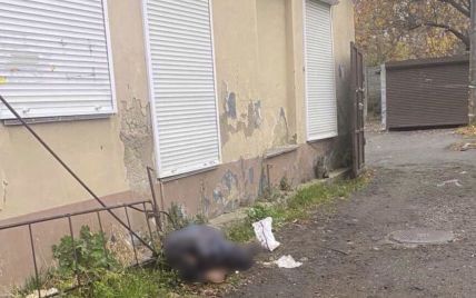 Лежал в неестественной позе: в Днепре обнаружили окровавленный труп мужчины