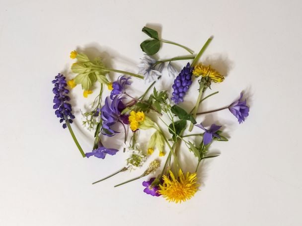 День ангела 3 липня — душевні привітання в прозі / © Unsplash