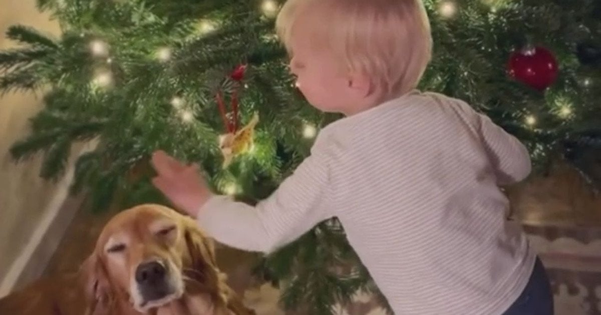 Иниго Миддлтон