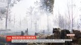 На Рівненщині загасили масштабну пожежу, що перекинулася з Білорусі