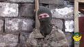 "Ждите, мы вернемся с победой". Бойцы АТО трогательно поздравили женщин с 8 Марта с передовой