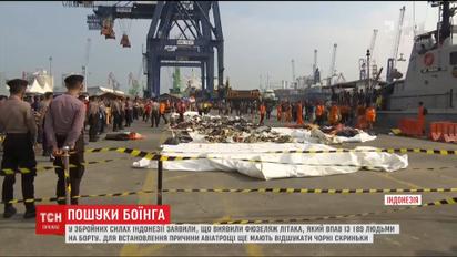 У збройних силах Індонезії заявили, що знайшли фюзеляж розбитого літака
