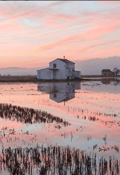 Будинок у хмарах та собаче селфі. Найпопулярніші фото з Instagram