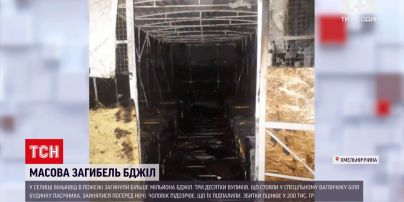 Новости Украины: в Хмельницкой области в пожаре погибли более миллиона пчел