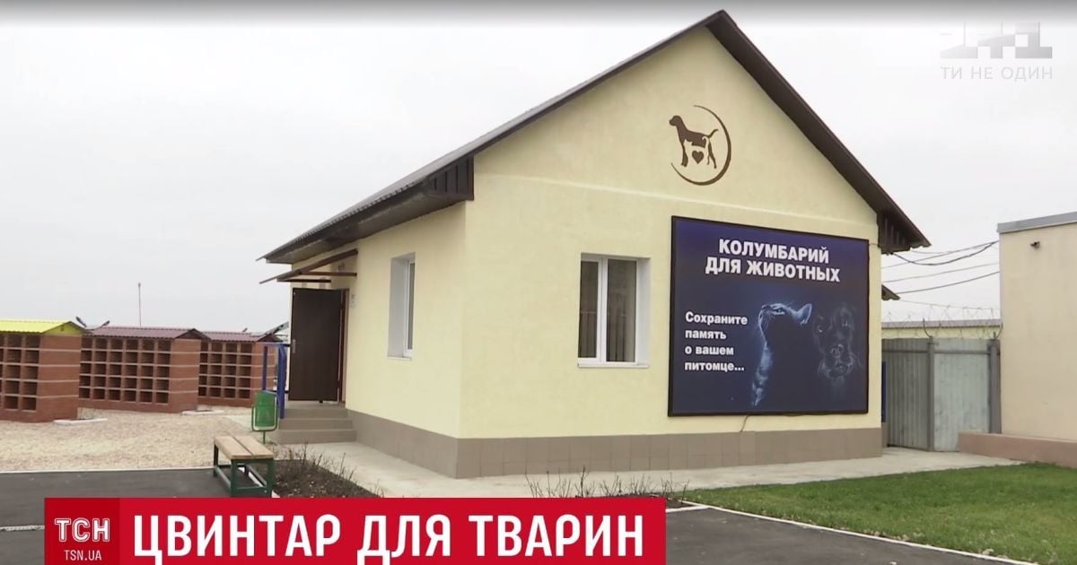 Легальний похорон домашніх тварин у Києві буде неможливий іще кілька років