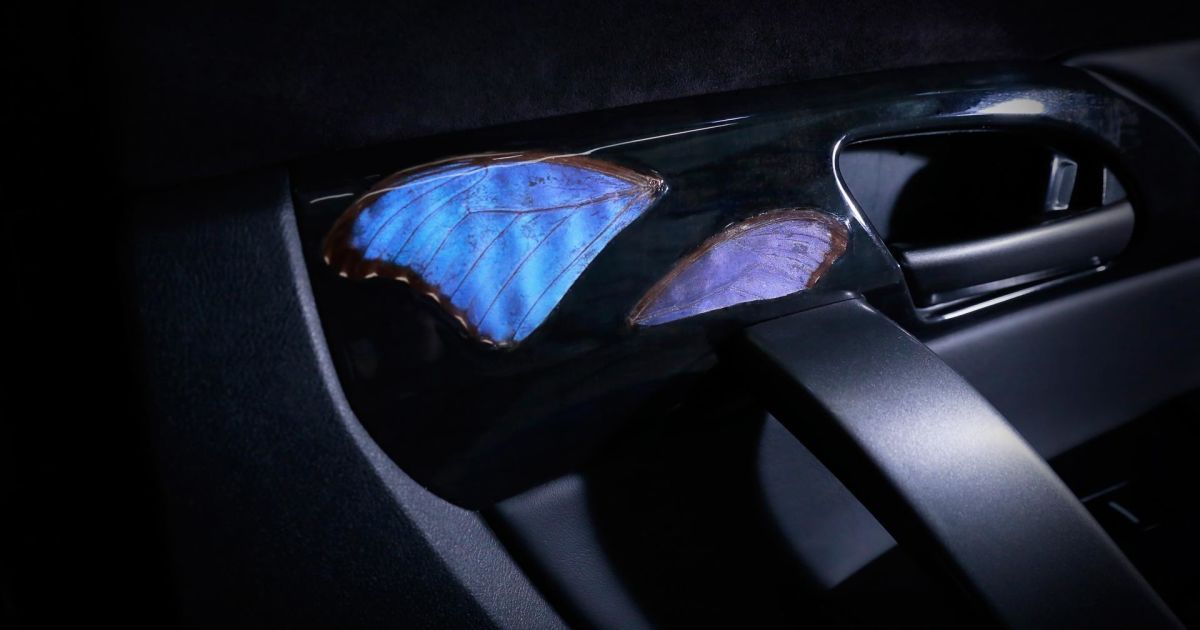 Acura MDX Morph