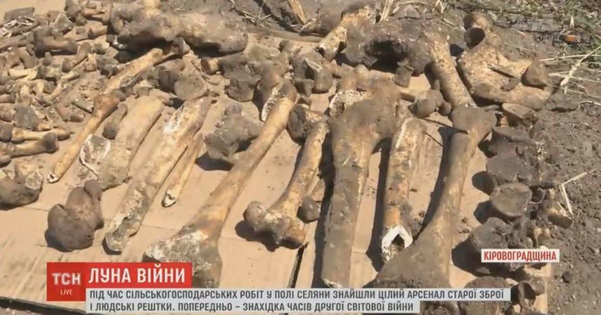 Вблизи Кропивницкого случайно наткнулись на братскую могилу, заполненную боеприпасами