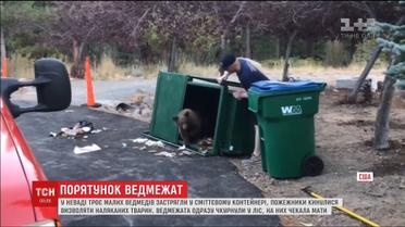 В Неваде трое медвежат застряли в мусорном контейнере