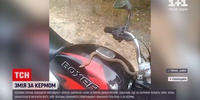 Новости Украины: в Ровенской области змея залезла в мотоцикл и чуть не укусила его владельца