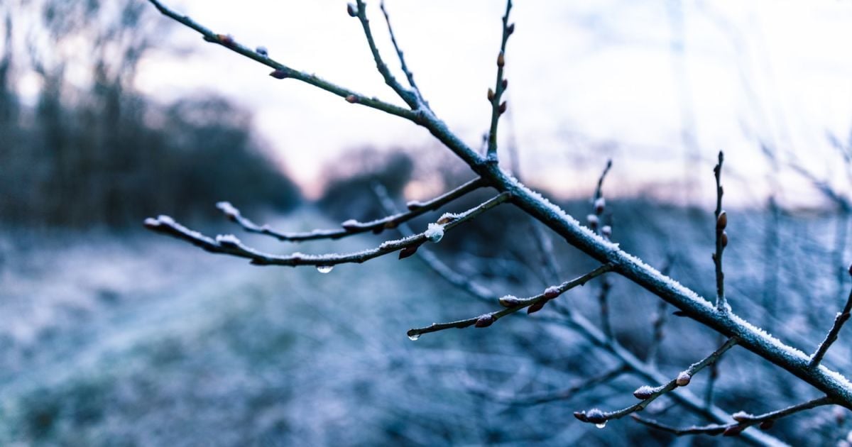 Православний календар на березень 2020 року.