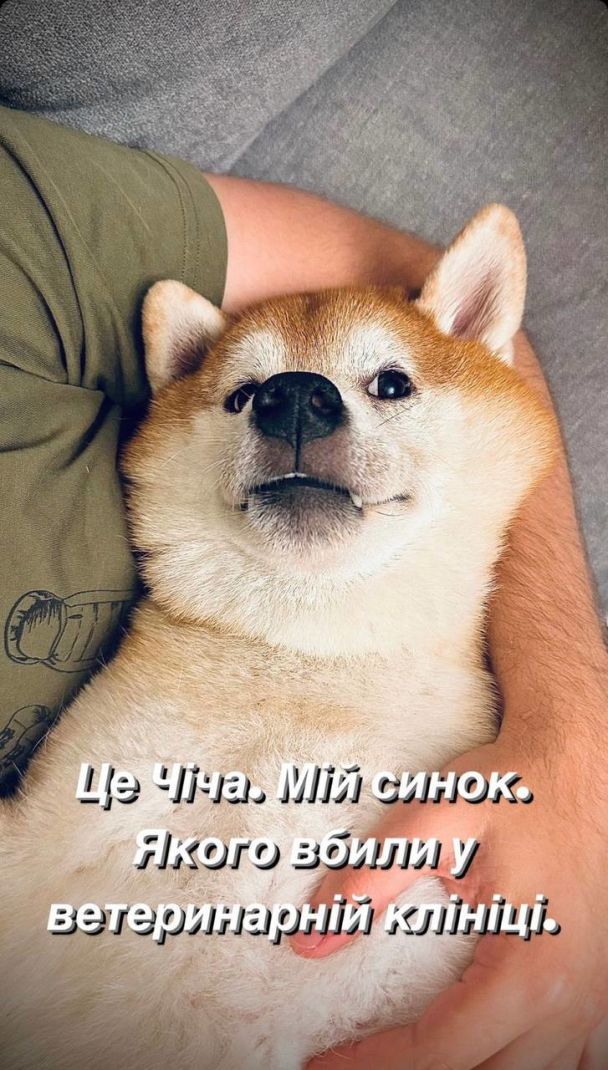 © instagram.com/da_astafieva