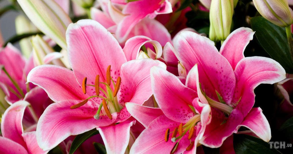 Астрологический прогноз на 2 декабря