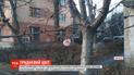 В Виннице из-за аномально теплой зимы зацвели сакуры